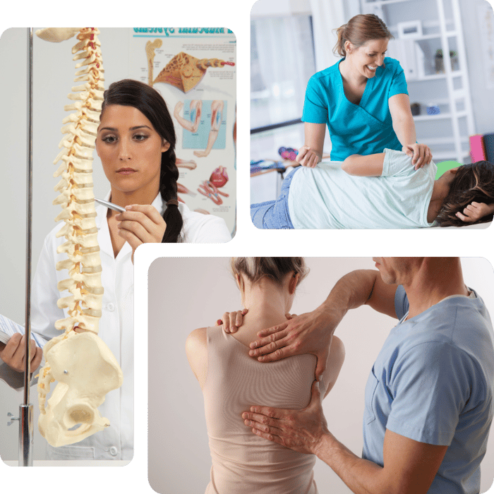Overview of our healthcare services and expert treatments